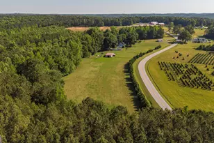 2774 Steadman Rd, Tallapoosa, GA 30176 - Photo 37