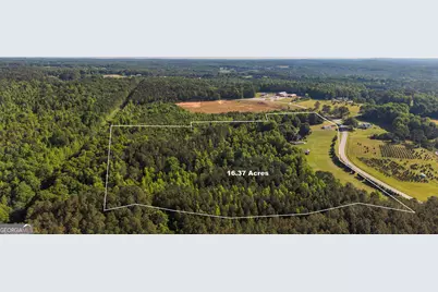 2774 Steadman Road, Tallapoosa, GA 30176 - Photo 33
