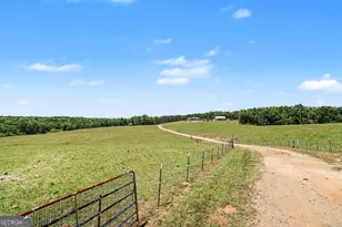 8715 Forrest Rd, Grantville, GA 30220 - Photo 3