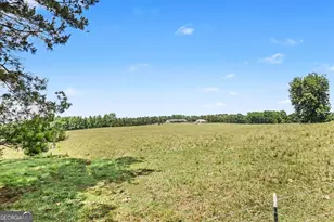 8715 Forrest Rd, Grantville, GA 30220 - Photo 51