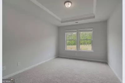101 Haverling Pass, Hampton, GA 30228 - Photo 21