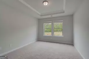 101 Haverling Pass, Hampton, GA 30228 - Photo 21