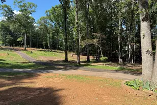 8405 Downs Rd, Winston, GA 30187 - Photo 11