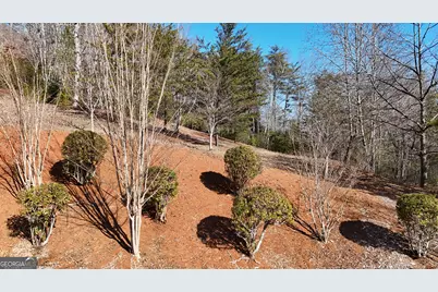 120 Ridgeland, Sautee Nacoochee, GA 30571 - Photo 65