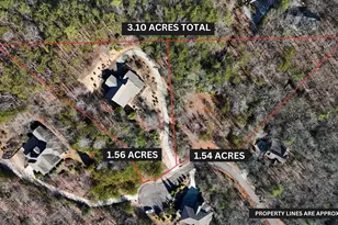 120 Ridgeland, Sautee Nacoochee, GA 30571 - Photo 3