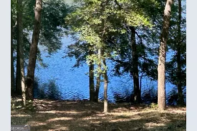 1024 Stonepile Road, Clarkesville, GA 30523 - Photo 35