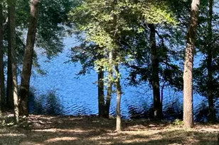 1024 Stonepile Rd, Clarkesville, GA 30523 - Photo 35