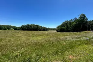 1024 Stonepile Rd, Clarkesville, GA 30523 - Photo 49