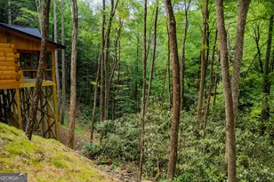 122 Laurel Creek Trail, Blue Ridge, GA 30513 - Photo 29