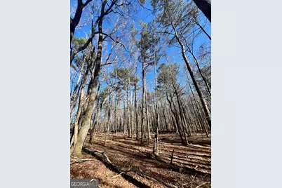 0 Kansas-Jake Road, Waco, GA 30182 - Photo 21