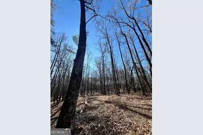 0 Kansas-Jake Road, Waco, GA 30182 - Photo 15
