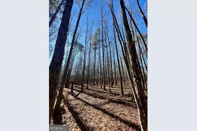 0 Kansas-Jake Road, Waco, GA 30182 - Photo 25