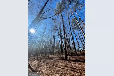 0 Kansas-Jake Road, Waco, GA 30182 - Photo 23