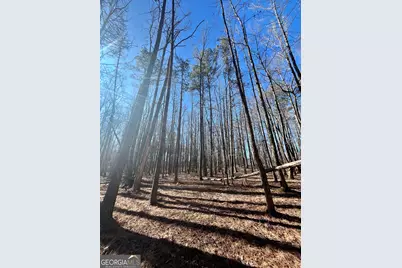 0 Kansas-Jake Road, Waco, GA 30182 - Photo 27