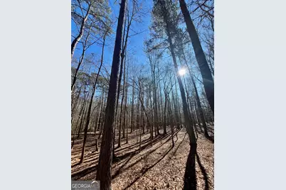 0 Kansas-Jake Road, Waco, GA 30182 - Photo 19