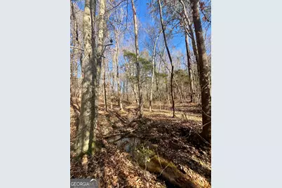 0 Kansas-Jake Road, Waco, GA 30182 - Photo 11