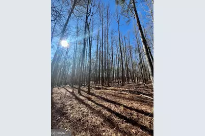 0 Kansas-Jake Road, Waco, GA 30182 - Photo 33
