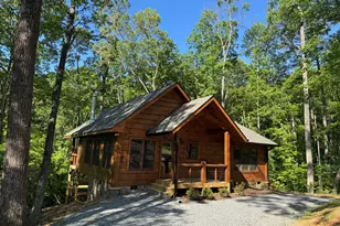 100 Crystal Oliver Ln, Blue Ridge, GA 30513 - Photo 43
