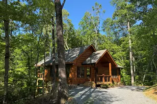 100 Crystal Oliver Ln, Blue Ridge, GA 30513 - Photo 49