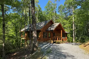 100 Crystal Oliver Ln, Blue Ridge, GA 30513 - Photo 39