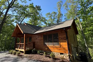 100 Crystal Oliver Ln, Blue Ridge, GA 30513 - Photo 47