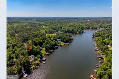 32 Dandelion Cove, Sparta, GA 31087 - Photo 47