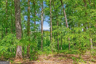 Lot 98 Winding Ridge, Blairsville, GA 30512 - Photo 17