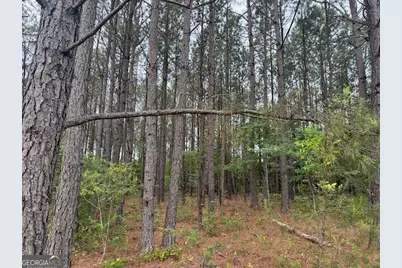 10661 Ga Highway 15, Warthen, GA 31094 - Photo 21