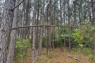 10661 Ga Hwy 15, Warthen, GA 31094 - Photo 21