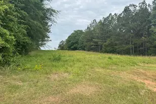 10661 Ga Hwy 15, Warthen, GA 31094 - Photo 19