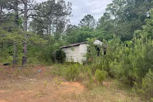 10661 Ga Hwy 15, Warthen, GA 31094 - Photo 23