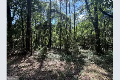 0 Appian Way, Baconton, GA 31716 - Photo 5