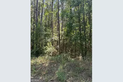 0 Appian Way, Baconton, GA 31716 - Photo 3