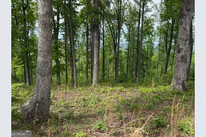 Lot 140 Highland Park #140, Blairsville, GA 30512 - Photo 3