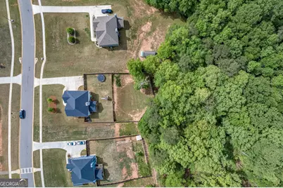 78 Winifred Way, Senoia, GA 30276 - Photo 63