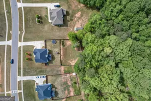 78 Winifred Wy, Senoia, GA 30276 - Photo 63