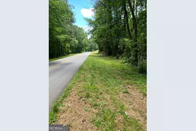 0 Stinchcomb Road, Elberton, GA 30635 - Photo 5