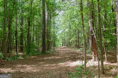 0 Marshall Road, Buckhead, GA 30625 - Photo 19