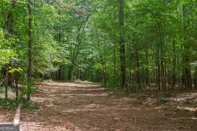 0 Marshall Road, Buckhead, GA 30625 - Photo 23