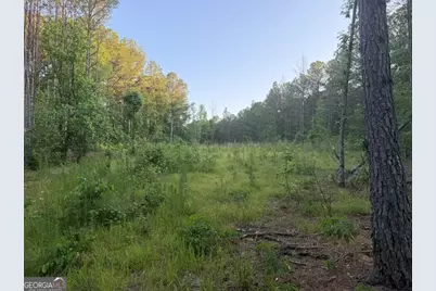 0 Old Rico Road, Chattahoochee Hills, GA 30268 - Photo 1