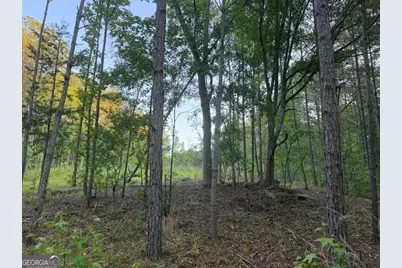 0 Old Rico Road, Chattahoochee Hills, GA 30268 - Photo 3