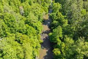 329 Twisting Ridge Trail, Demorest, GA 30535 - Photo 43