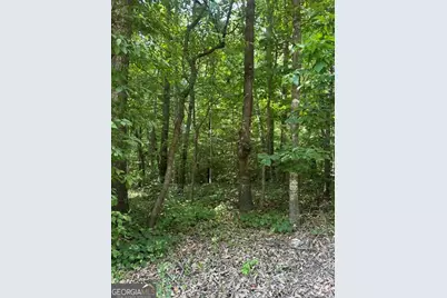 Lot 144 Lewis Drive, Lavonia, GA 30553 - Photo 3
