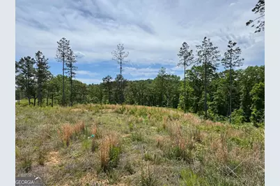 Lot 243 Spear Point Drive, Talking Rock, GA 30175 - Photo 3
