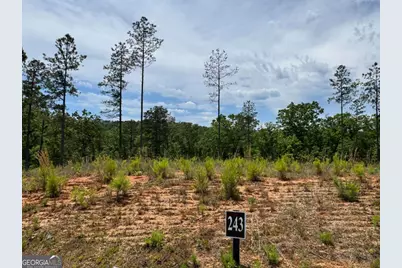Lot 243 Spear Point Drive, Talking Rock, GA 30175 - Photo 1