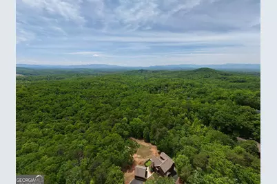 57.30 Ac Blue Arrow/Angel Creek, Mineral Bluff, GA 30559 - Photo 3