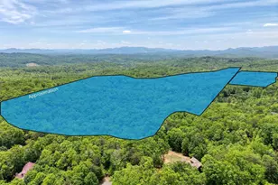 57 30 Ac Stuart View, Mineral Bluff, GA 30559 - Photo 1