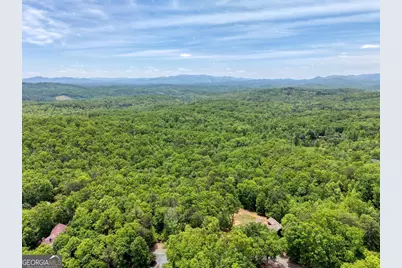 57.30 Ac Blue Arrow/Angel Creek, Mineral Bluff, GA 30559 - Photo 5