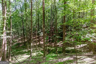 Lot 26 Estates Drive, Ellijay, GA 30540 - Photo 7