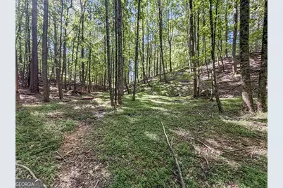 Lot 26 Estates Drive, Ellijay, GA 30540 - Photo 15